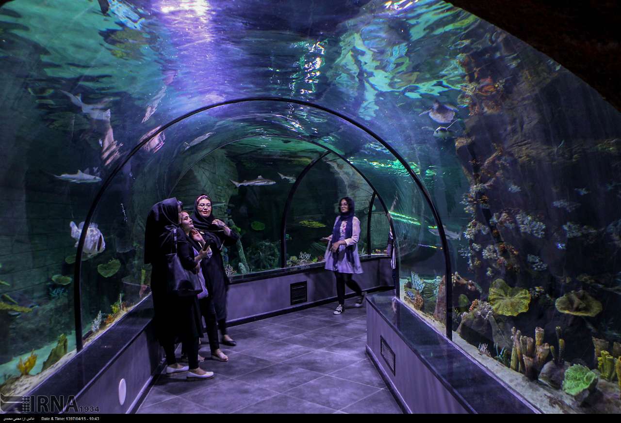 Funtastic Aquarium Iran Bandare Anzali