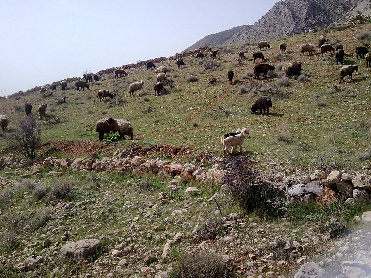 Mount Derak, Shiraz