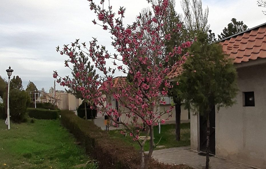 Zanjan Tourist Hotel / Zanjan