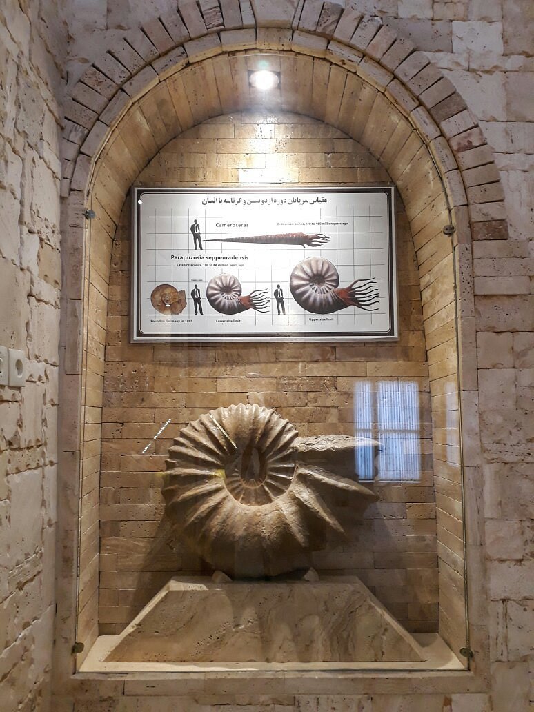 Cambrian Museum, Yazd