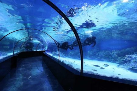 Kish Island Aquarium Iran
