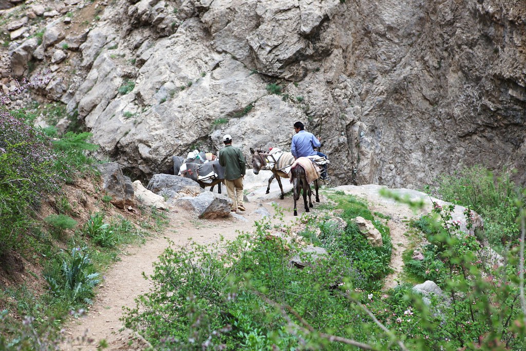 Shemshak Hiking Trail Iran