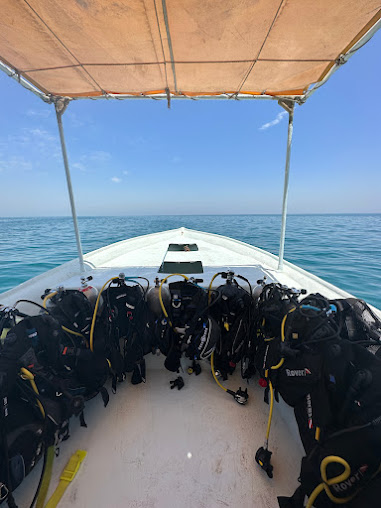 Qeshm Iran scuba diving Persian Gulf