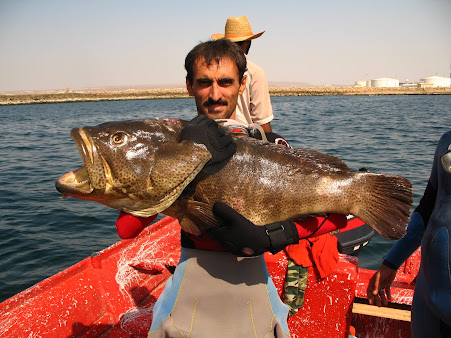Iran Chabahar Scuba Diving Persian gulf