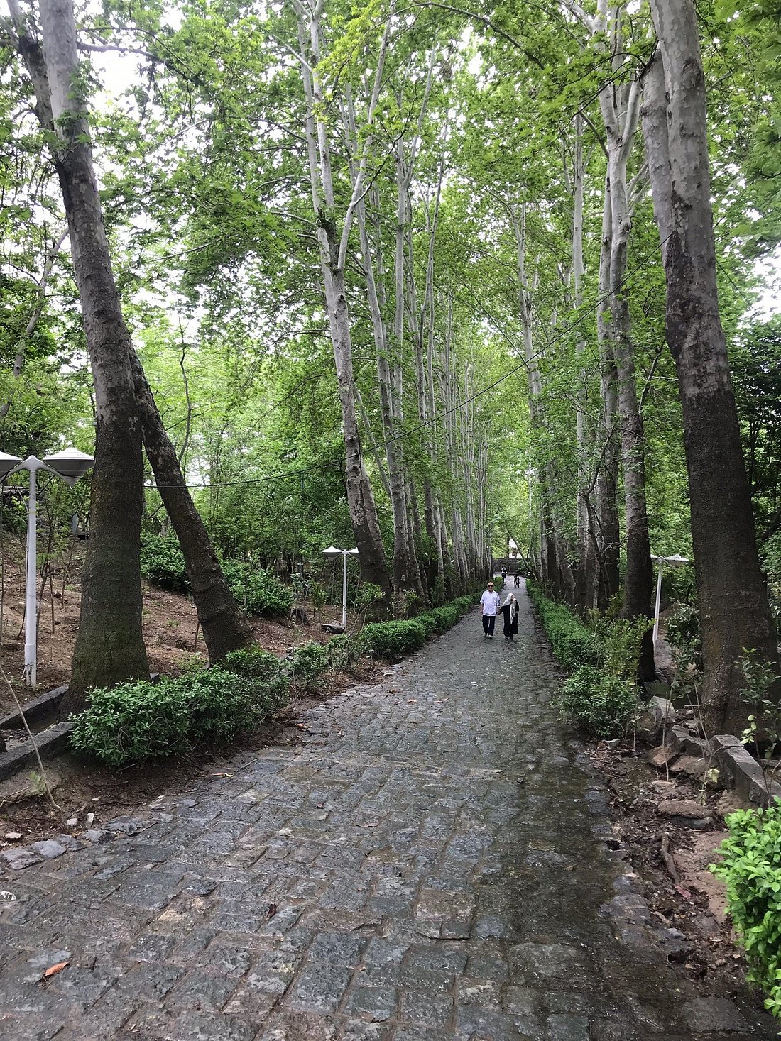 Jamshidiyeh Stone Park, Tehran