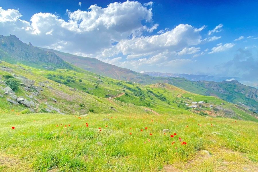 Subatan, Talesh